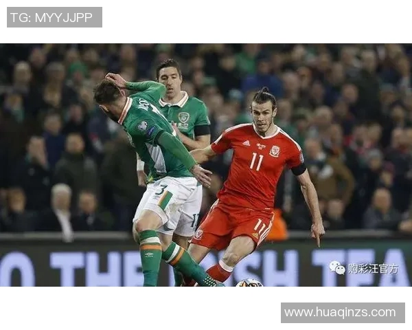 2018年德国与法国比赛直播信号获取及观看指南详解